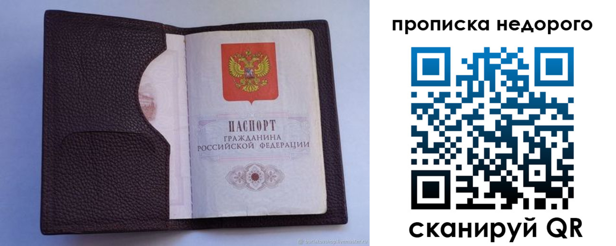 прописка законно в Ржеве